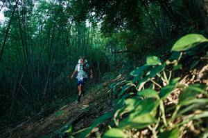 BIB: 
                            <button type="button" onclick="openModal(28123710)" class="btn btn-primary btn-sm float-right btn-popup" data-toggle="modal" data-target=".modal-high-quality">
                        <i class="fas fa-shopping-cart"></i> Add to Cart
                    </button>
                                            <button type="button" onclick="isThisMe(28123710, true)" class="btn btn-success btn-sm float-right btn-popup btn-isme hidden" data-toggle="tooltip" data-placement="bottom" title="นี่คือรูปของคุณใช่ไหม คลิกที่นี่เพื่อเอาเข้าอัลบั้ม">
                        <i class="fas fa-plus"></i> Add to album
                    </button>
                    <button type="button" onclick="isThisMe(28123710, false)" class="btn btn-warning btn-sm float-right btn-popup btn-isnotme hidden">
                        <i class="fas fa-ban"></i> Remove from album
                    </button>